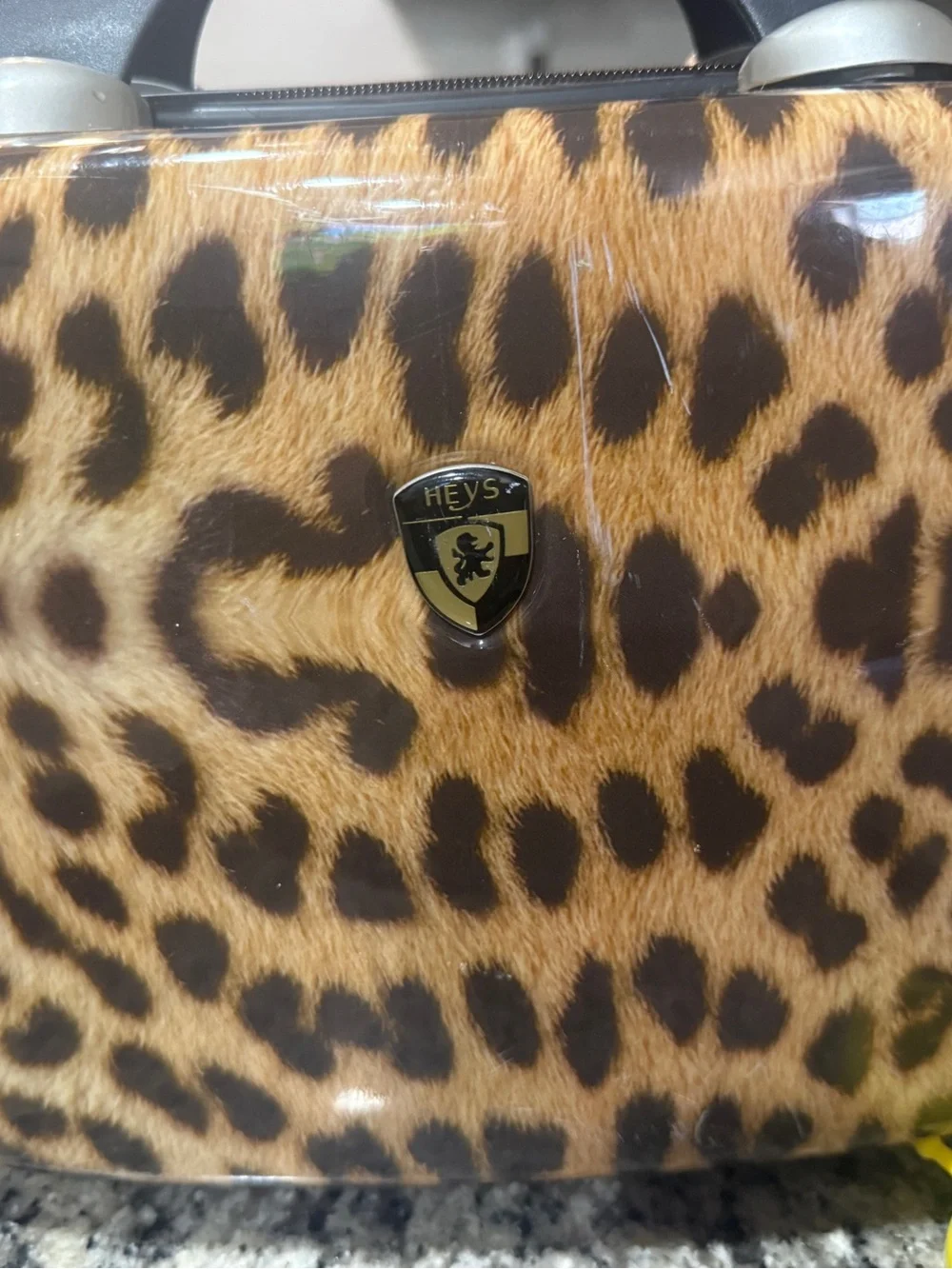 Leopard Print Travel Vanity Bag - Brown